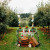 An Apple Affair //